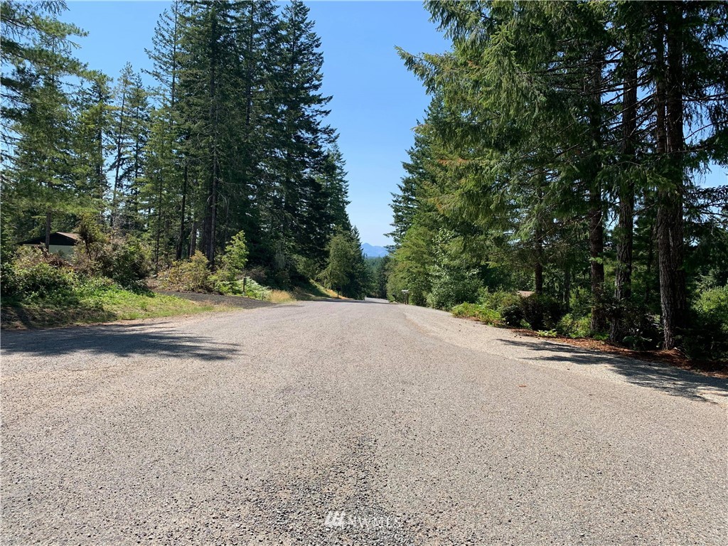 0 East Arellem Road Union, WA 98592 - Photo 4 of 5 Gallery Image 4