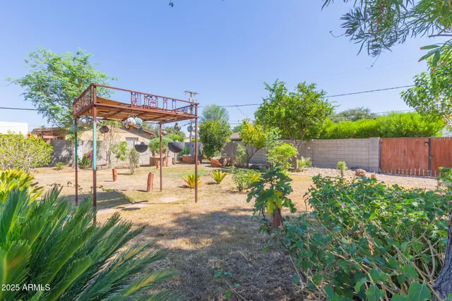 a view of a yard with a tree