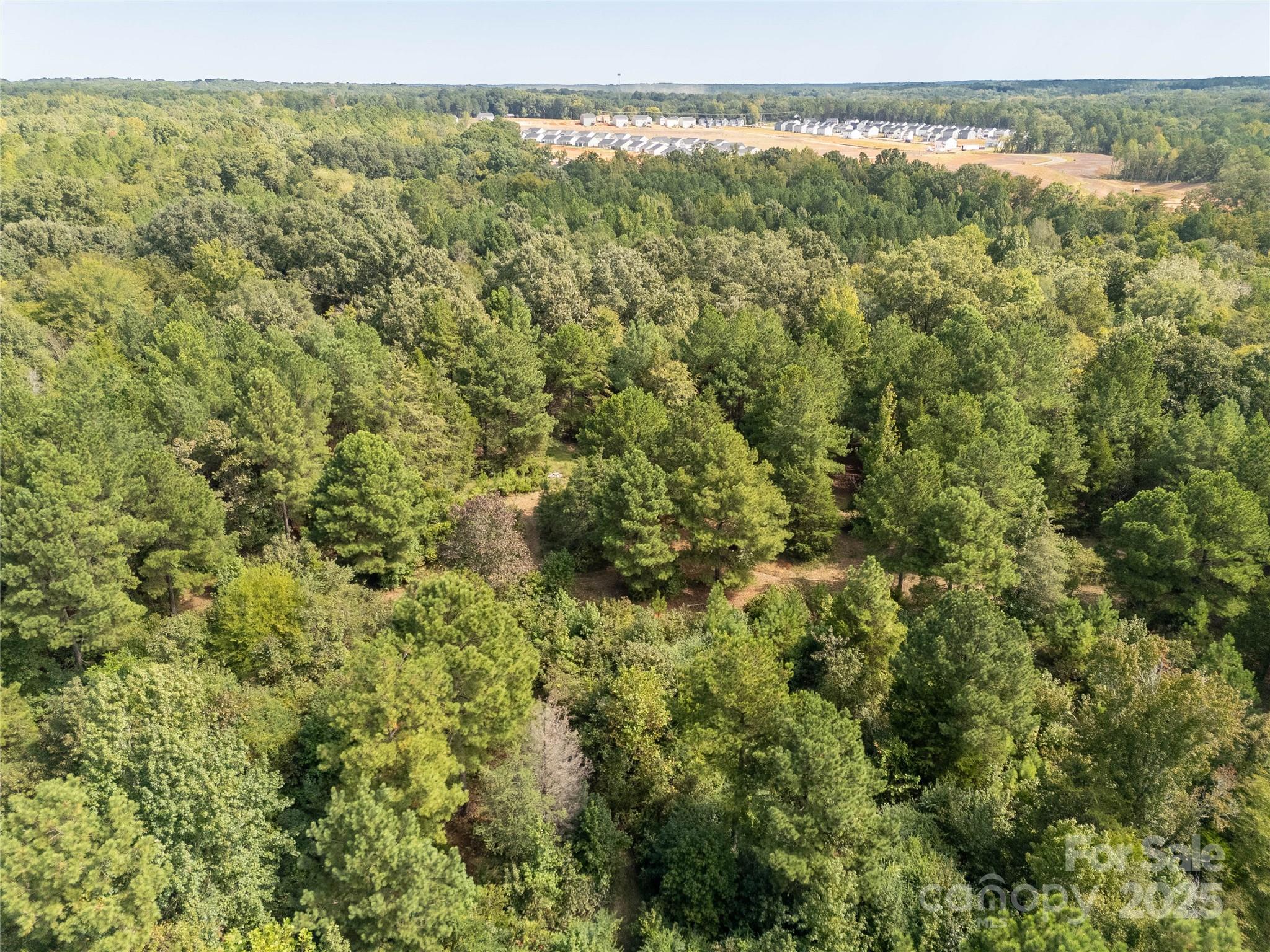 0 Mary Cauthen Farm Road Lancaster, SC 29720 - Photo 11 of 12 a view of a field with a forest