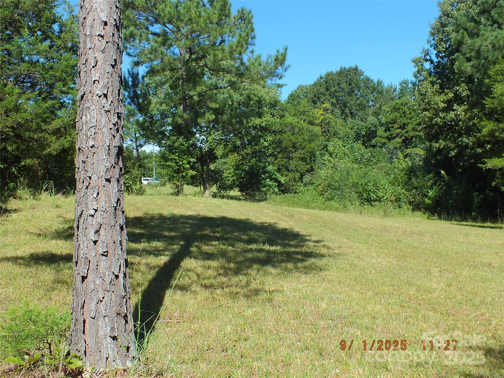 0 Mary Cauthen Farm Road Lancaster, SC 29720 - Photo 3 of 12 a view of a yard with trees