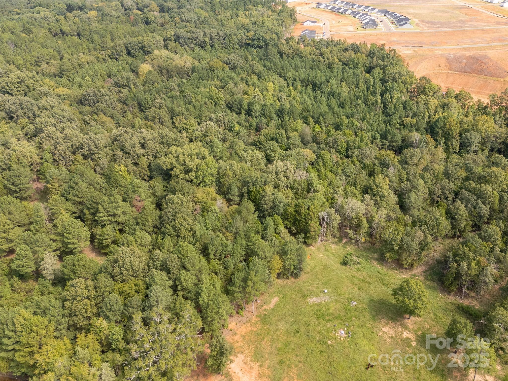 0 Mary Cauthen Farm Road Lancaster, SC 29720 - Photo 10 of 12 a view of a big yard of the house