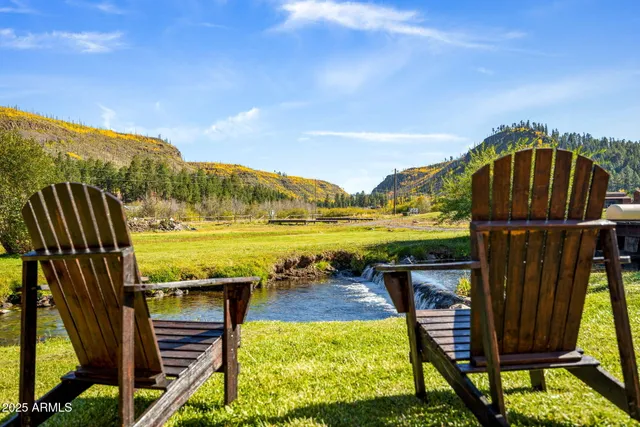 a view of a swimming pool with a patio and a garden