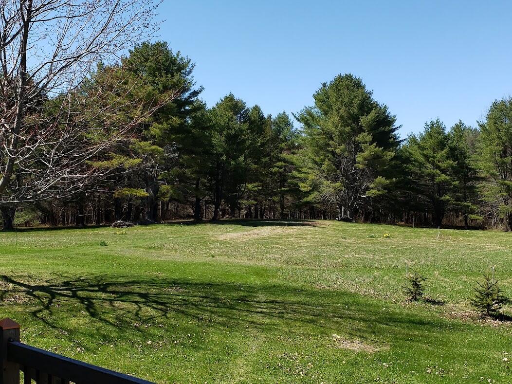 88 Hovey Road Milo, ME 04463 - Photo 60 of 76 20220502_143959