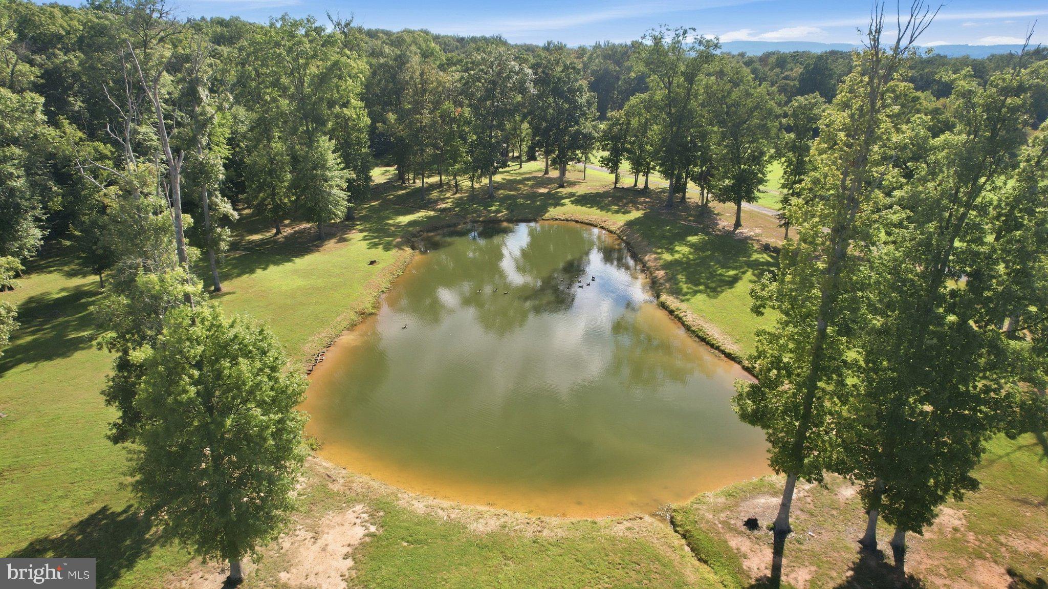 43449 Lost Corner Road Leesburg, VA 20176 - Photo 105 of 111 Private Pond