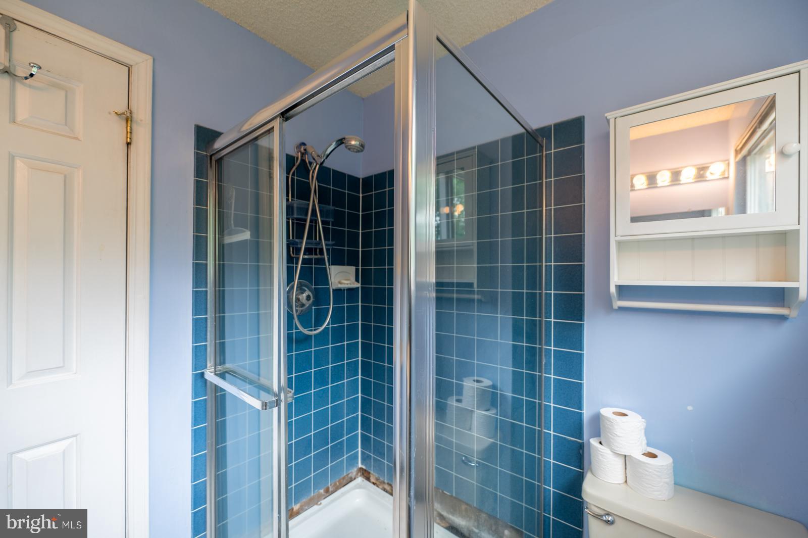 333 Brigade Court Chesterbrook, PA 19087 - Photo 26 of 35 Third Floor Bathroom