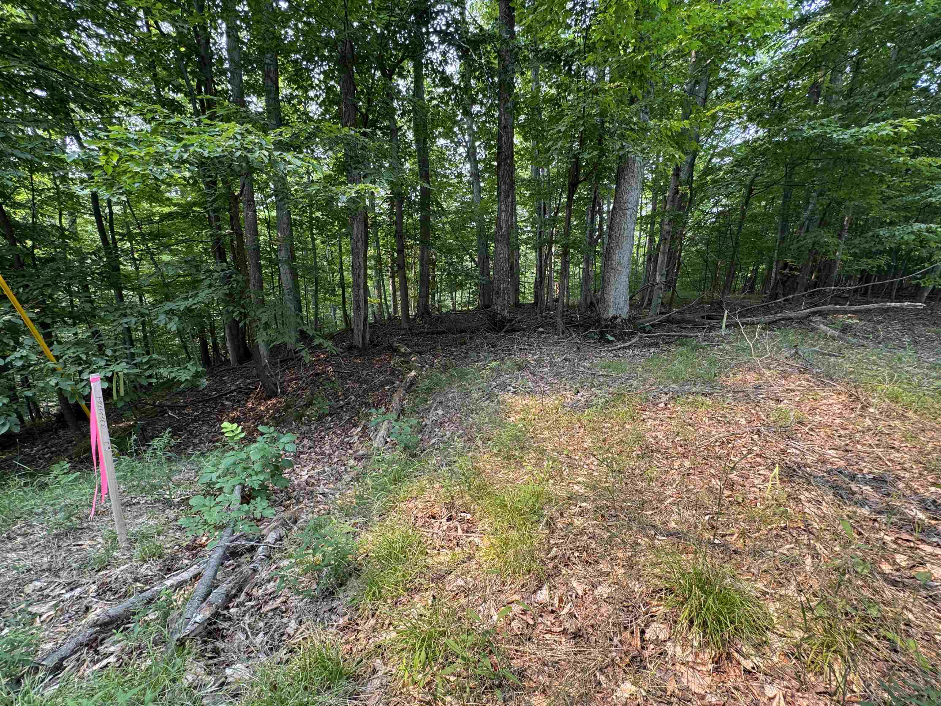 Lot #3 East Bellinger Road, Unit BELLINGER ESTATES Cedar, MI 49621 - Photo 14 of 15