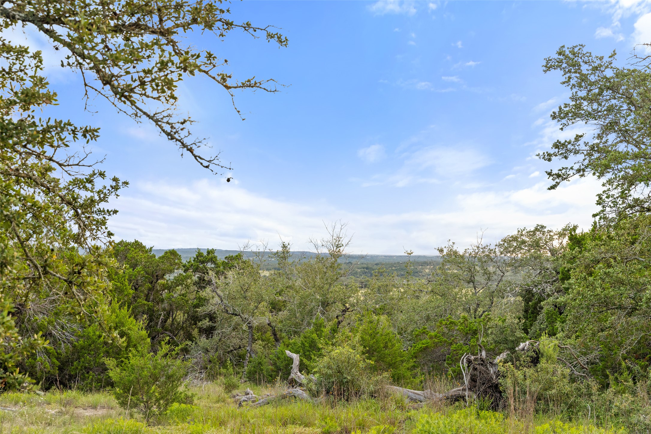 31860 Mirela Ann Road Dripping Springs, TX 78620 - Photo 4 of 20