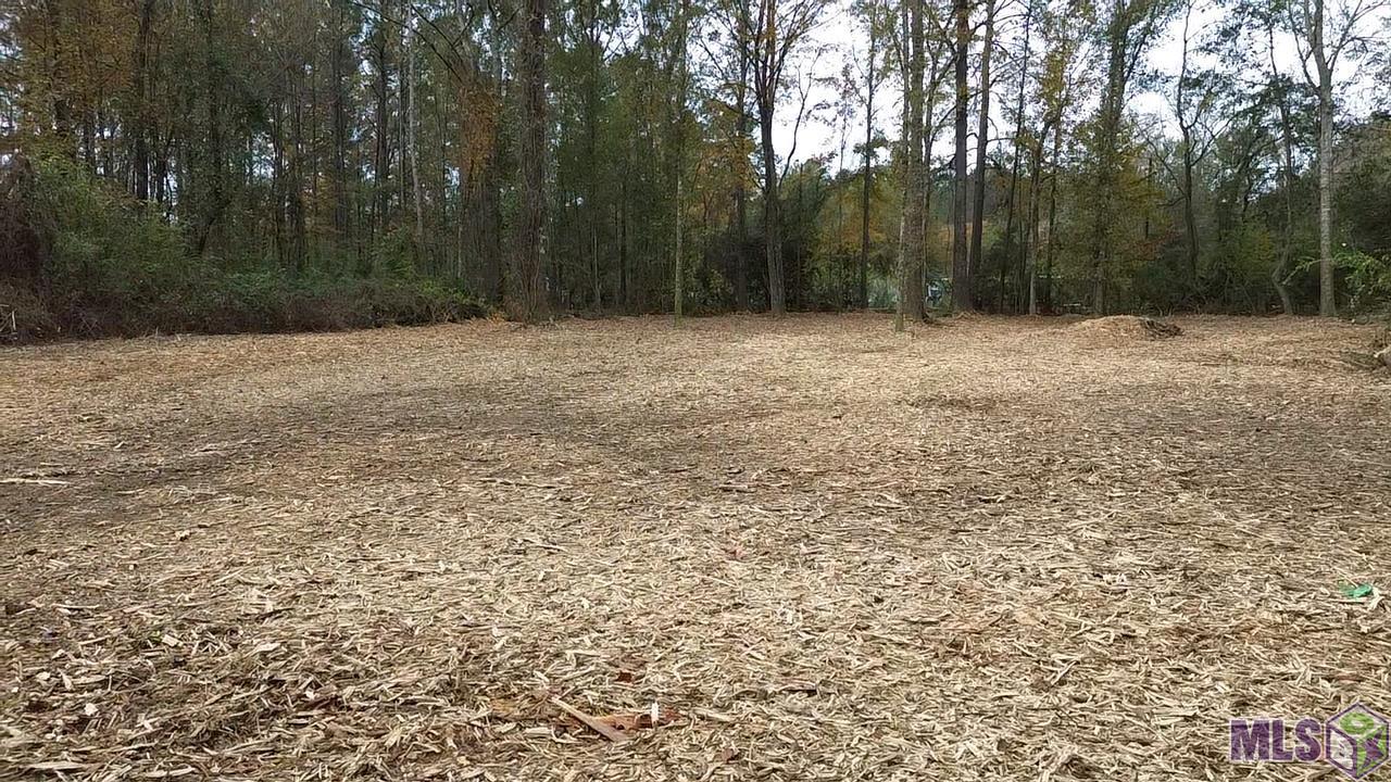 2 A Hano Road Independence, LA 70443 - Photo 4 of 9