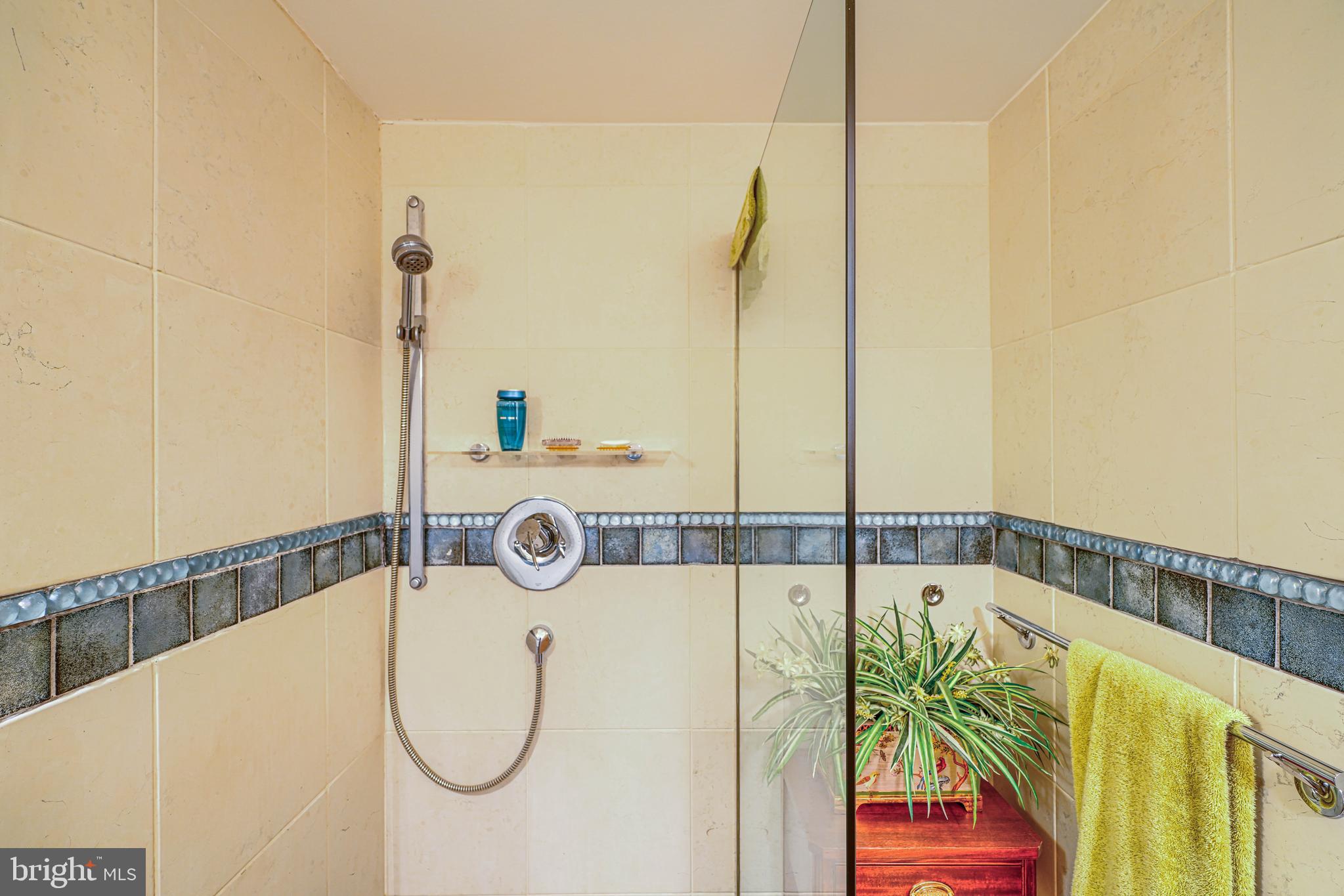 2504 Stone Mill Road Baltimore, MD 21208 - Photo 52 of 123 Main level bath with shower stall