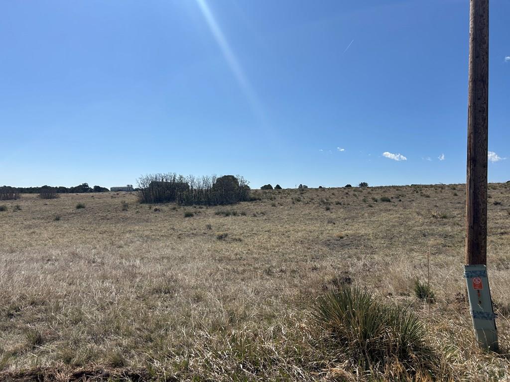 Lot 94 Navajo Ranch Walsenburg, CO 81089 - Photo 2 of 15 a view of a dry yard with wooden fence