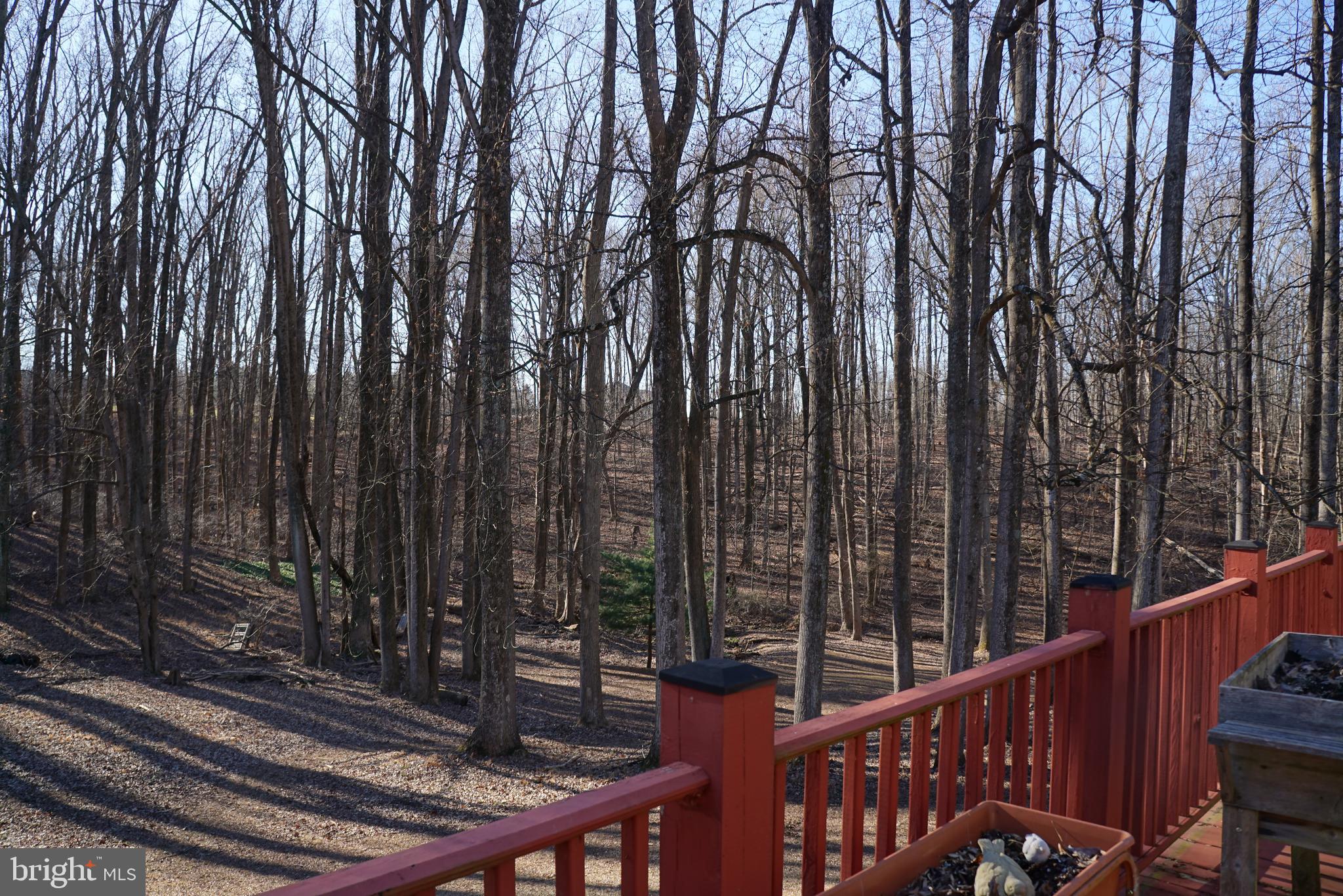 24432 Ridge Road Damascus, MD 20872 - Photo 8 of 25 First View from Deck
