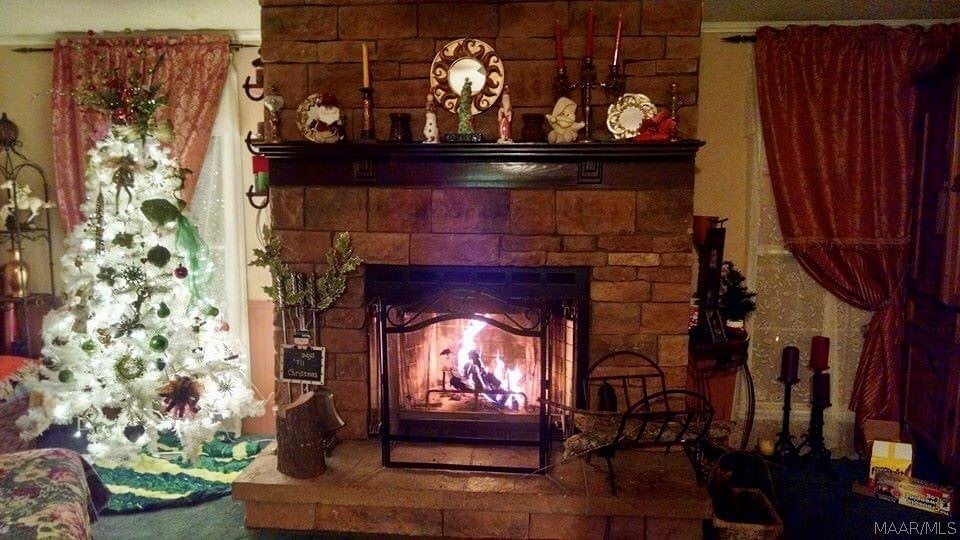 3874 Mitchell Road Hartford, AL 36344 - Photo 11 of 35 Gallery Image 11
