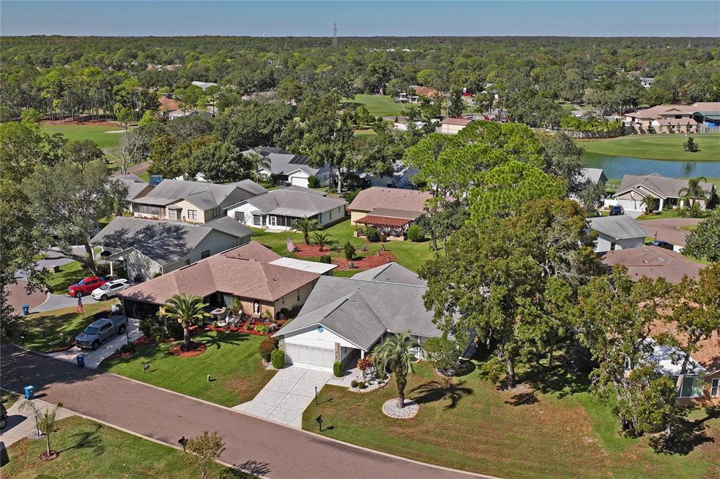 7107 Pond View Court Spring Hill, FL 34606 - Photo 70 of 99