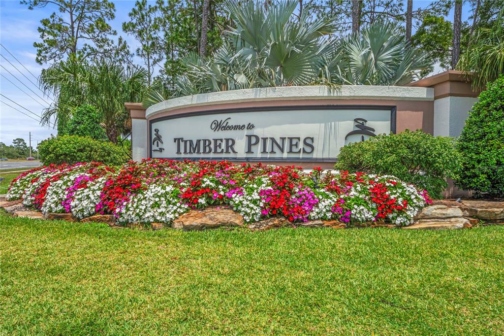 7107 Pond View Court Spring Hill, FL 34606 - Photo 82 of 99