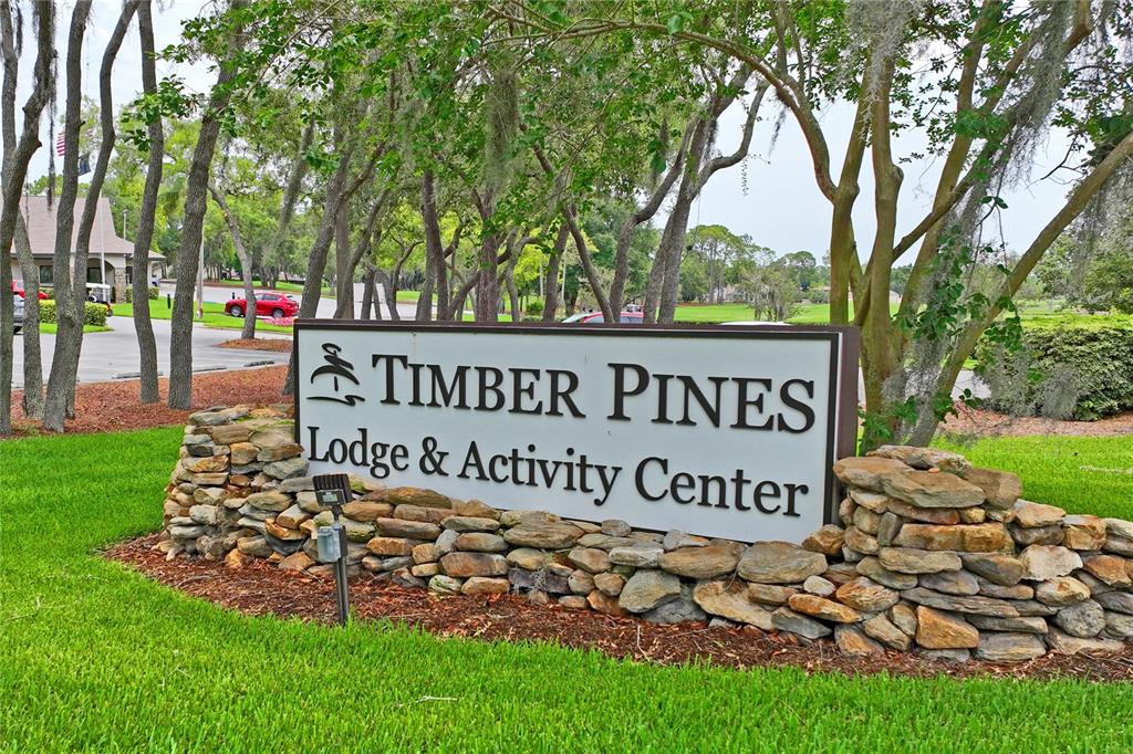 7107 Pond View Court Spring Hill, FL 34606 - Photo 83 of 99