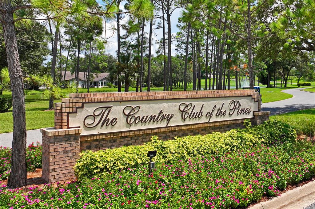 7107 Pond View Court Spring Hill, FL 34606 - Photo 93 of 99
