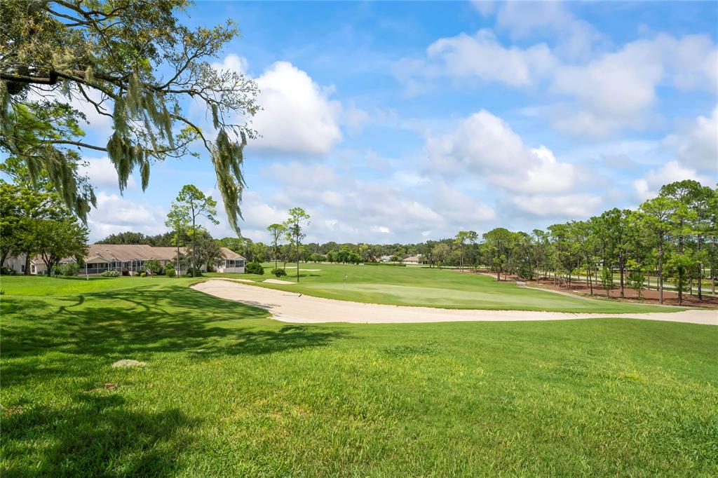 7107 Pond View Court Spring Hill, FL 34606 - Photo 96 of 99
