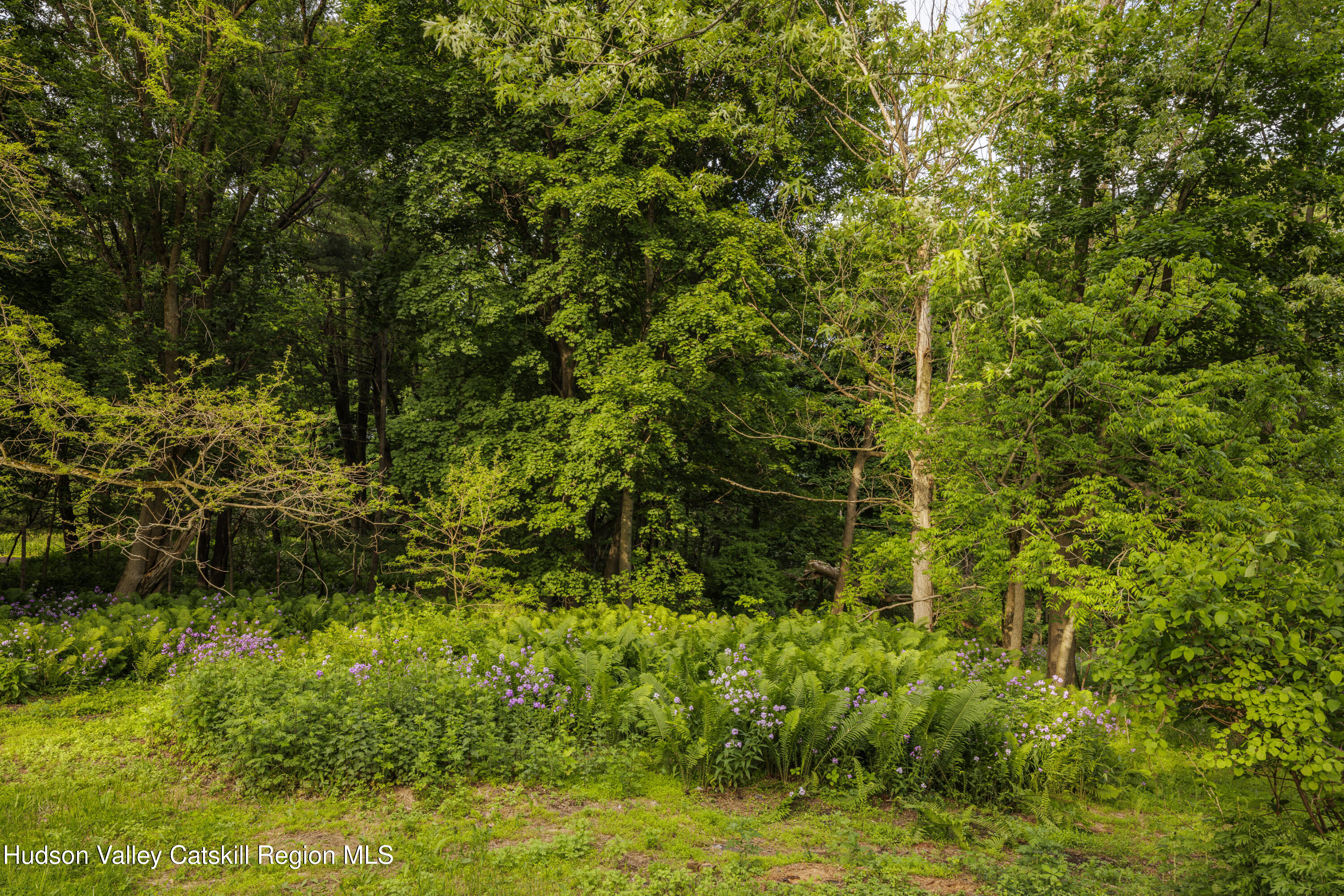 57 Snake Road Catskill, NY 12414 - Photo 24 of 39 57 Snake Rd-24