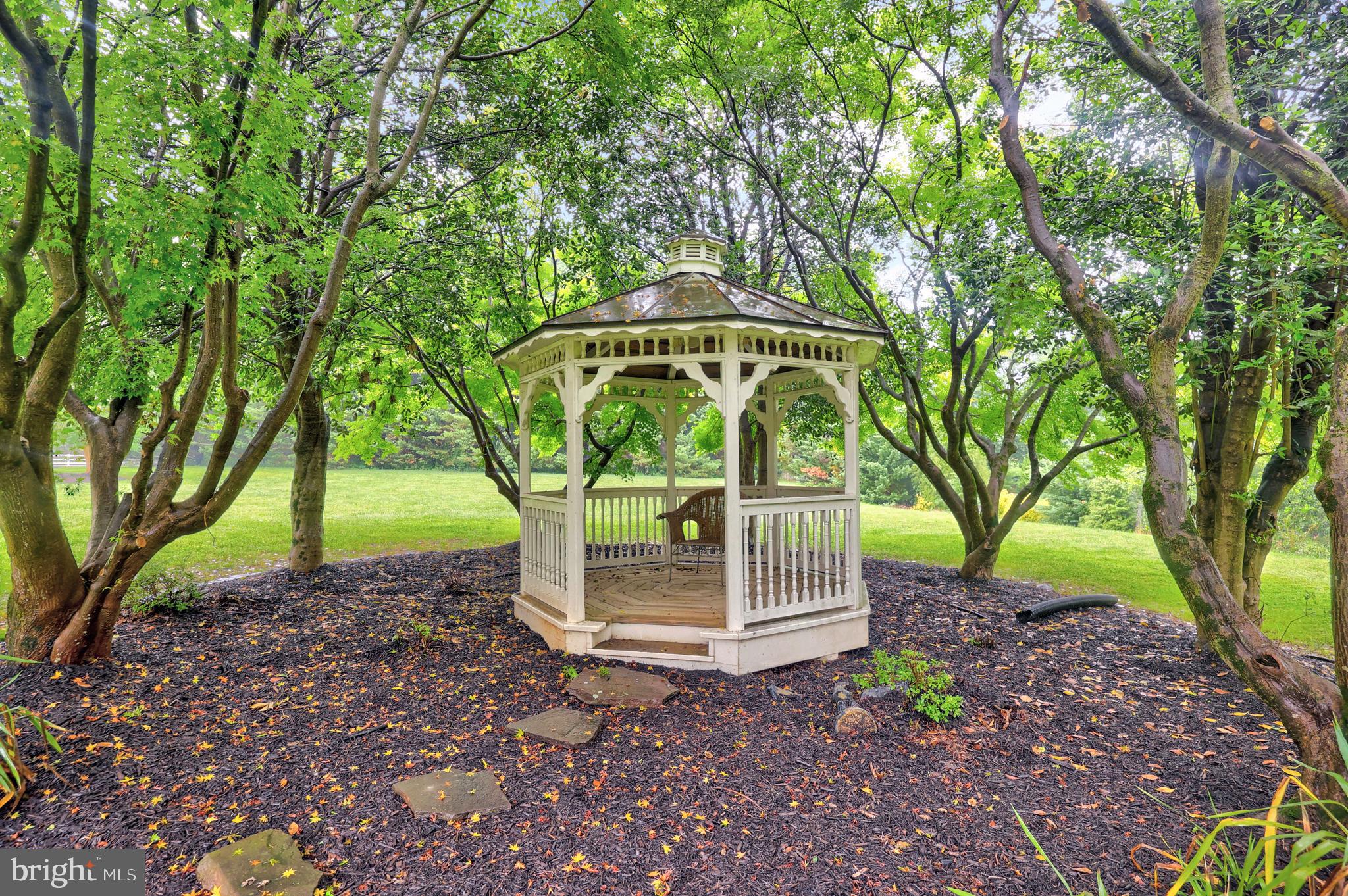 517 Seneca Road Great Falls, VA 22066 - Photo 10 of 48
