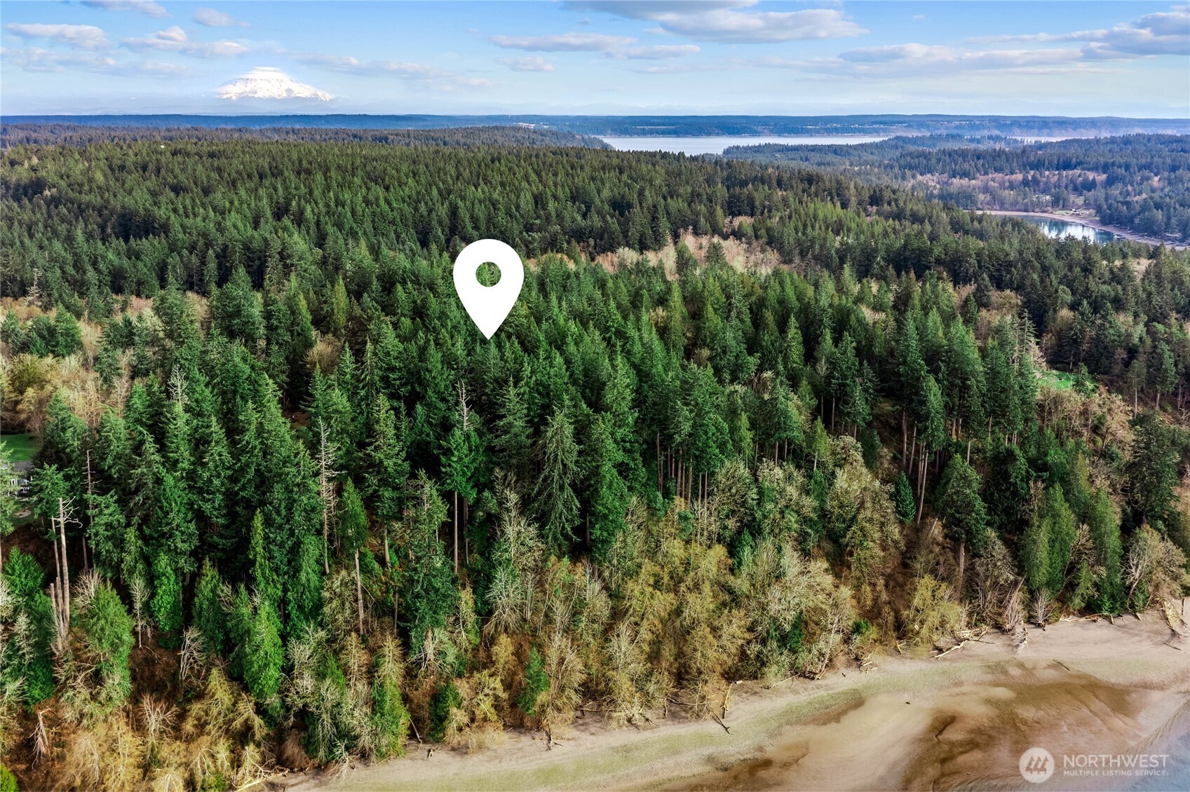 9538 Steffenson Road Anderson Island, WA 98303 - Photo 2 of 35