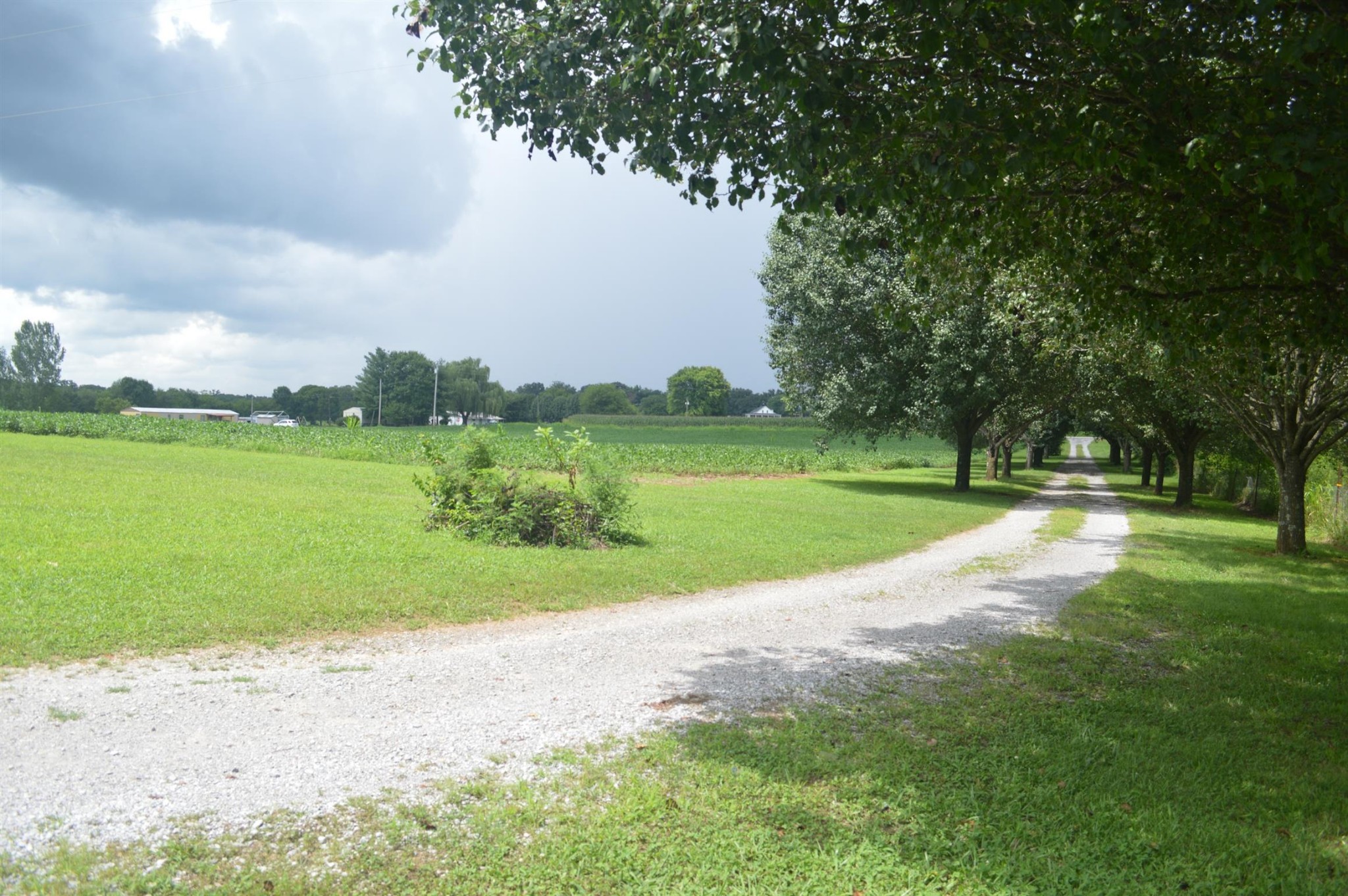 2336 Wilder Chapel Road Decherd, TN 37324 - Photo 1 of 1 a view of a park with large trees and a big yard