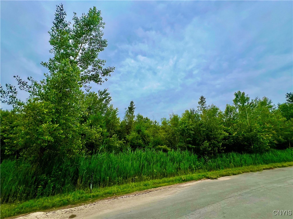 Lot 16 Forest Ridge Drive Rome, NY 13440 - Photo 2 of 7 Lot 16