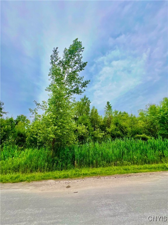 Lot 16 Forest Ridge Drive Rome, NY 13440 - Photo 4 of 7 Lot 16