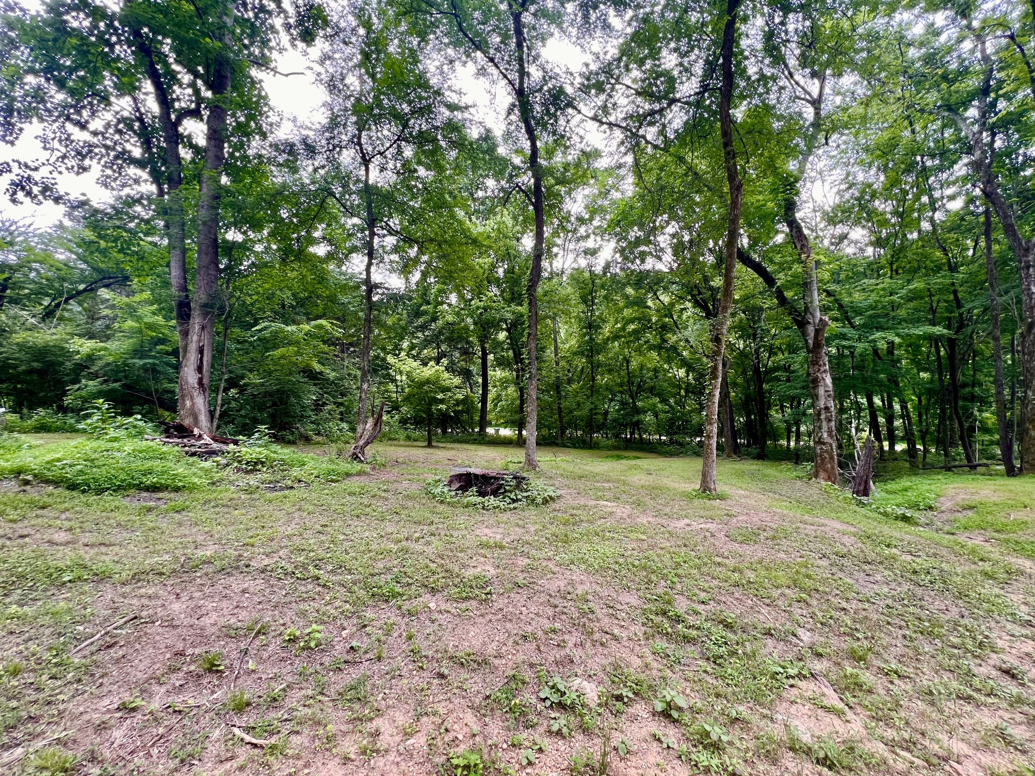 1173 Cedar Hurst Lane Pulaski, TN 38478 - Photo 2 of 9 a backyard of a house with lots of green space