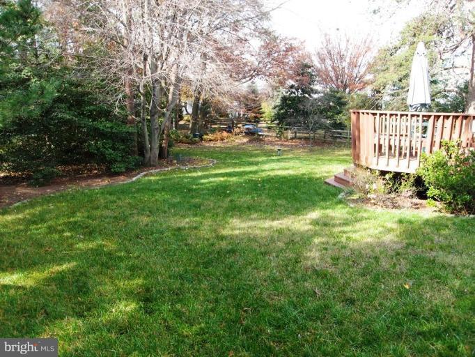 381 Magothy Road Severna Park, MD 21146 - Photo 3 of 25 Back yard