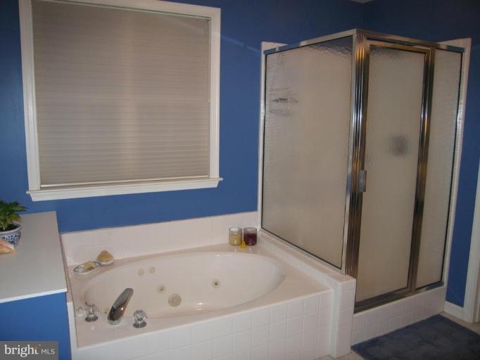 381 Magothy Road Severna Park, MD 21146 - Photo 25 of 25 master bath tub and shower