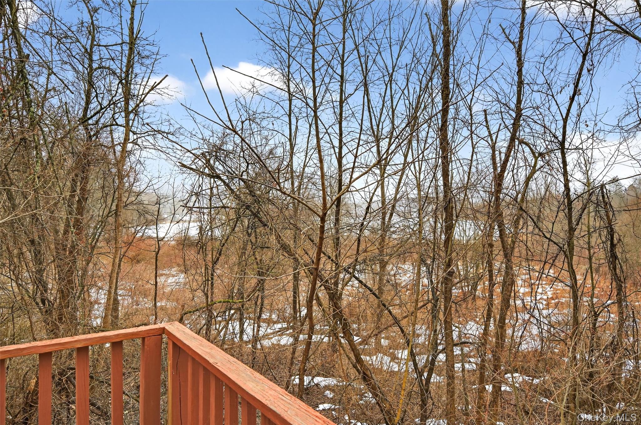 307 Gibson Hill Road Chester, NY 10918 - Photo 30 of 38 View of lake from deck.