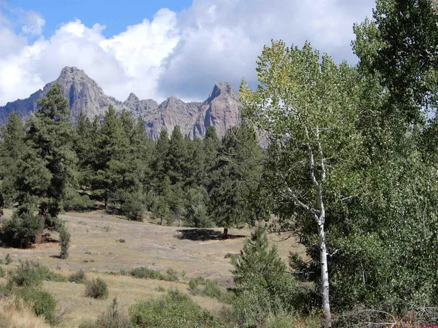 a view of a yard with a tree