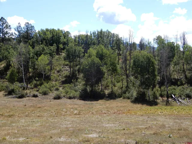 a view of a backyard of a house