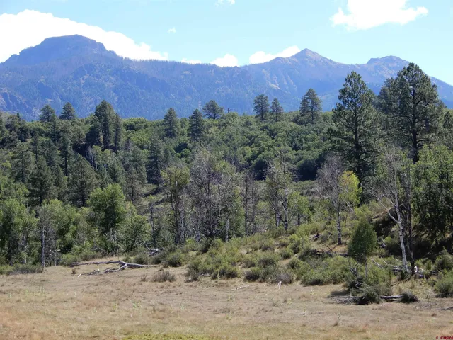 an aerial view of mountain and tree