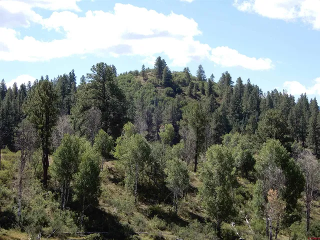a view of a city and a mountain