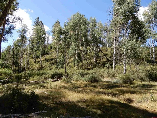 a view of a yard with houses