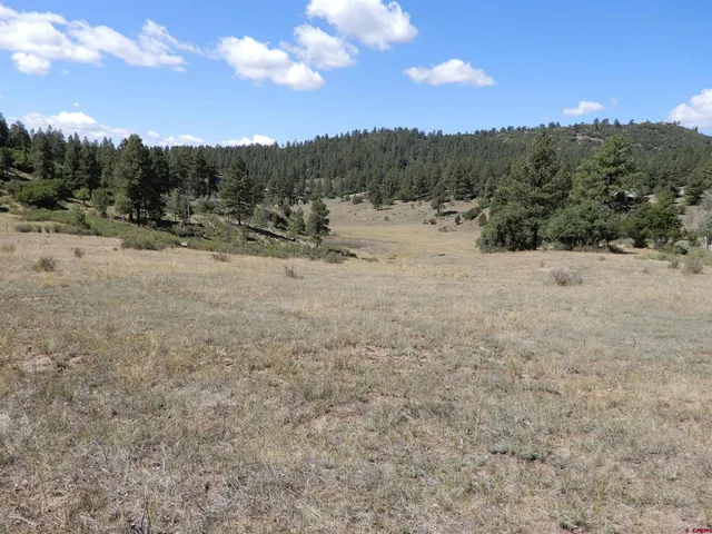 a view of a dry yard covered with snow