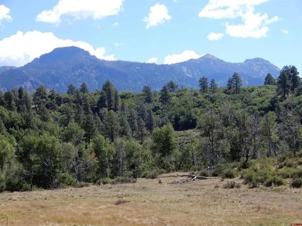 an aerial view of mountain with yard