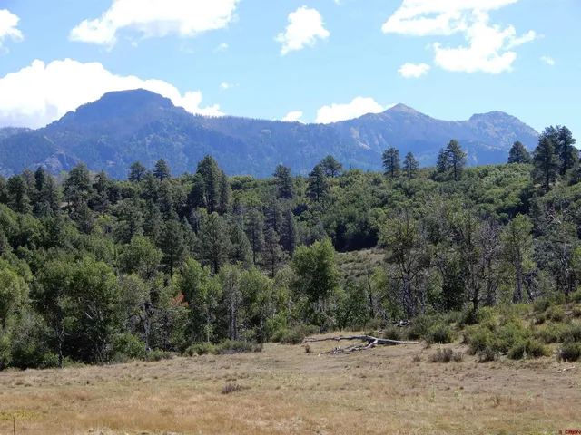 an aerial view of mountain with yard