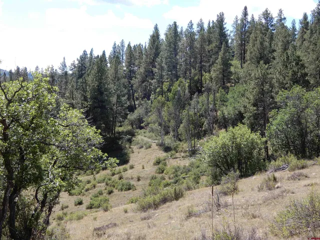 a view of a dry field