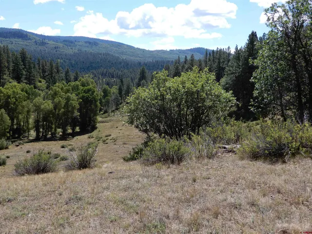 a view of a yard covered in snow