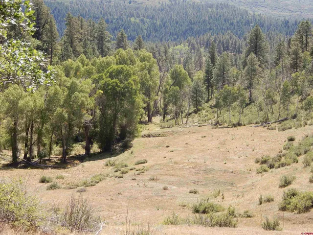 a view of a yard covered in snow