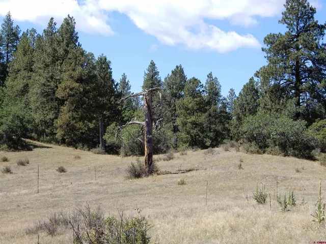 a view of a city with lush green forest