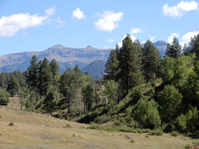 a view of a houses with a yard