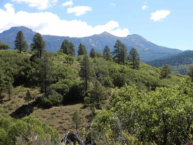 a view of a yard covered in snow