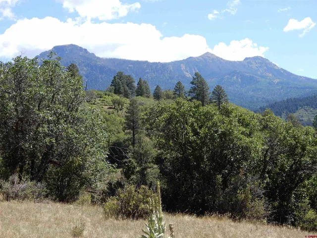 $1,495,000 | 775 Banded Peaks Drive, Chromo, CO 81128