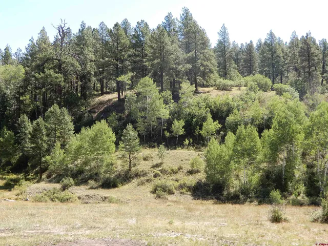 a view of a yard covered in snow