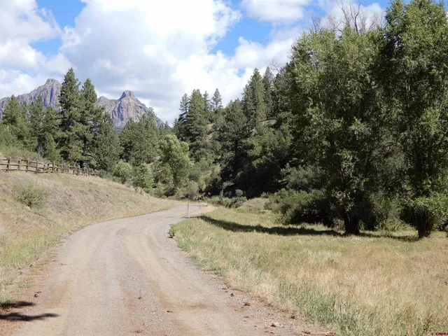 a view of a yard with trees