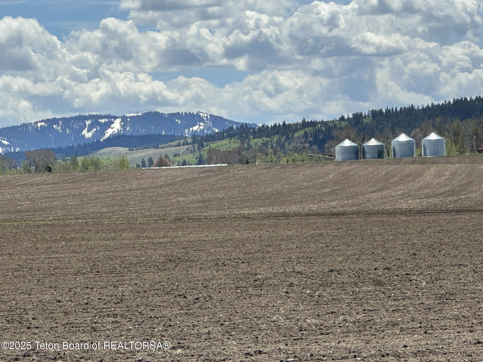 8850 Rose Ridge Lane Tetonia, ID 83452 - Photo 17 of 24 IMG_1992