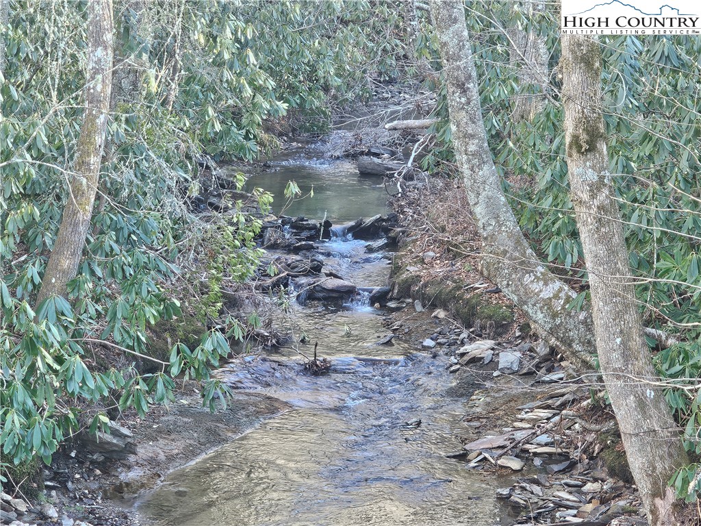 Lot #1 Creekside Meadows Newland, NC 28657 - Photo 1 of 19 a view of a forest with a tree